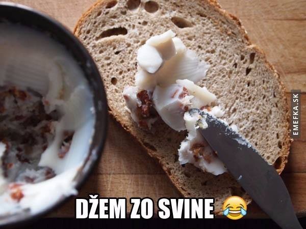 Dem zo svine1
