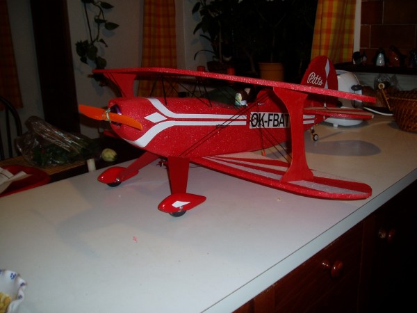 P1010003.JPG