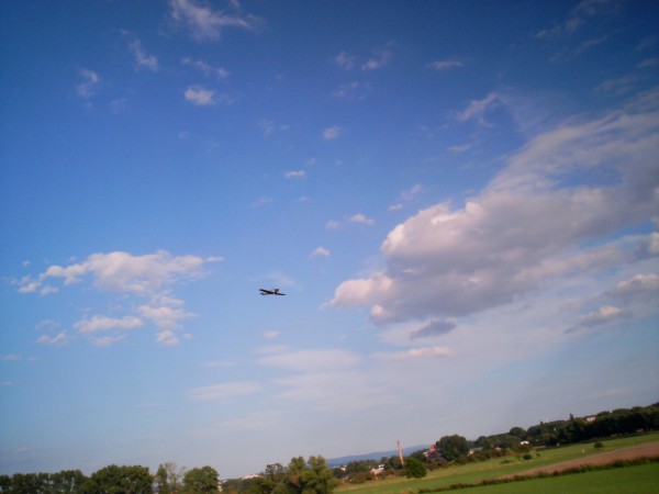 Fot016